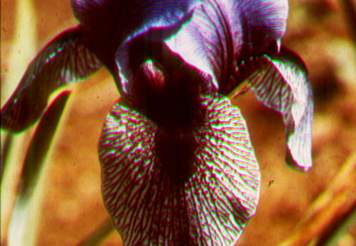 Ken Bastow's Slides - display this album Ken Bastow's Slides