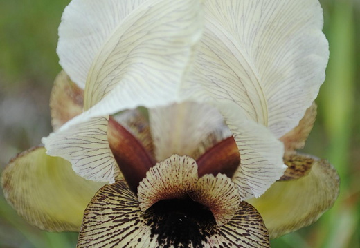 K1600 DSC 0188PT0817
