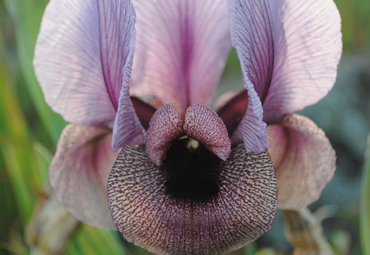 K1600 DSC 0185PT0416