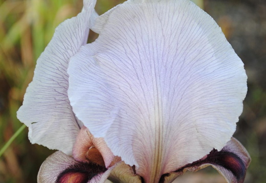 K1600 DSC 0189PT0434